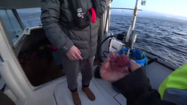 Malena's mom channels her inner Maya to teach chat about sea urchins