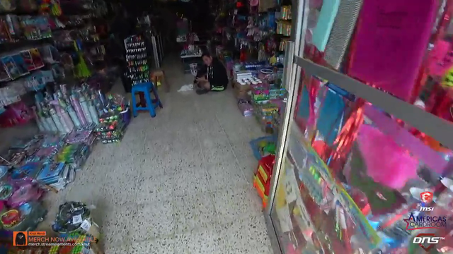 Knut meets a cutie in Costa Rica