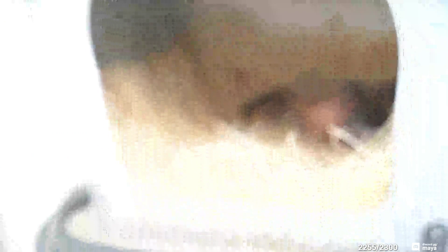 Unexpected visitor