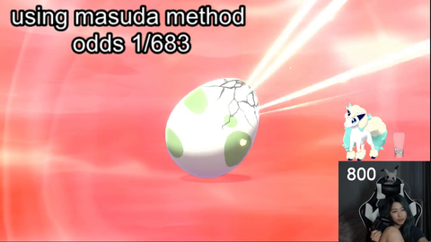 Shiny Ponyta after hatching 801 Eggs