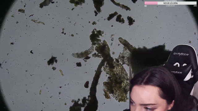 Faezaria Revives a Waterbear!!!!