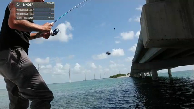 Something ate my fish!
