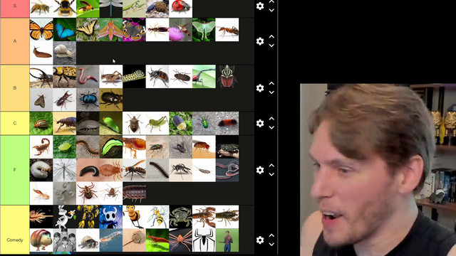 What Happens When You Save Earwigs