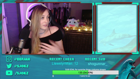 Sjokz silencing the haters