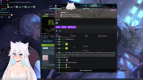 Vei looks through the logs of a chatter