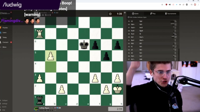 Ludwig can understand chess books