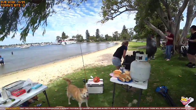Dog wants the fish