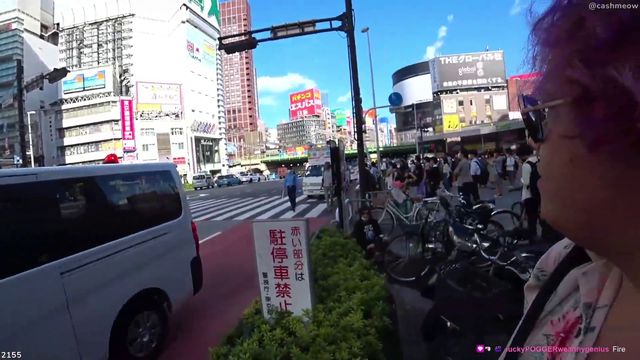 Anti-vaccine march in Japan