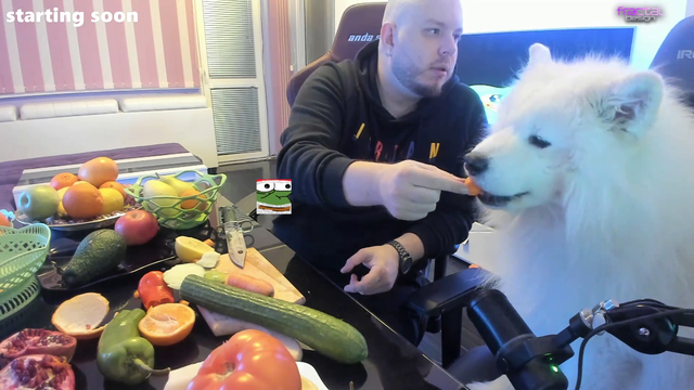 "He likes the carrot"