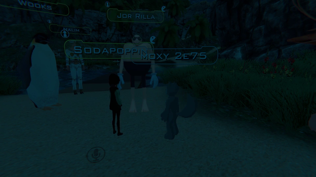 m0xy finally in Vrchat