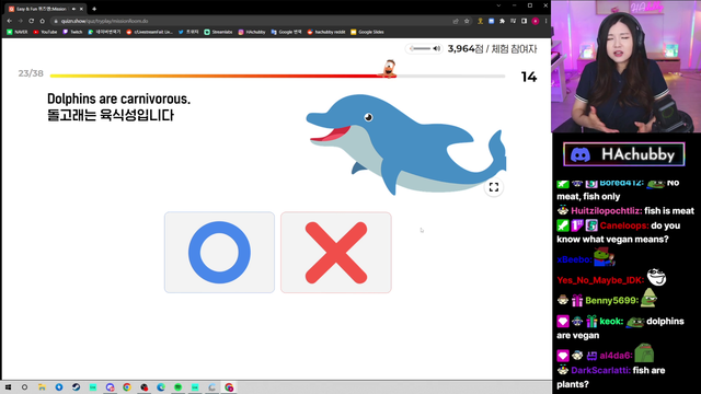 Vegan dolphins