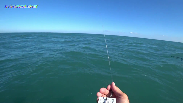 Fisherman catches a fish on a business card!