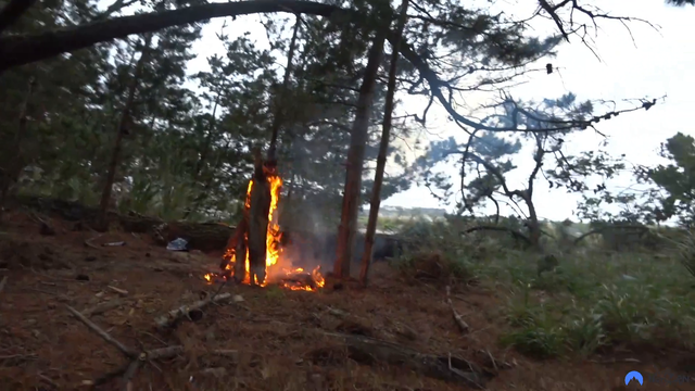 Two veteran campers casually setting an island on fire