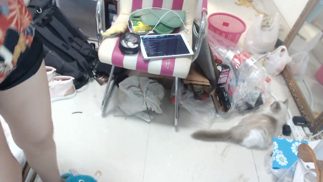 Eloise cleaning stream 2.0: Day 1