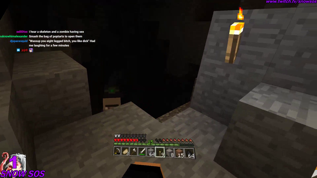SNOWSOS Playing Minecraft - Twitch Clips