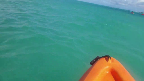 TheSushiDragon drops phone in the ocean from a kayak and jumps in to save chat