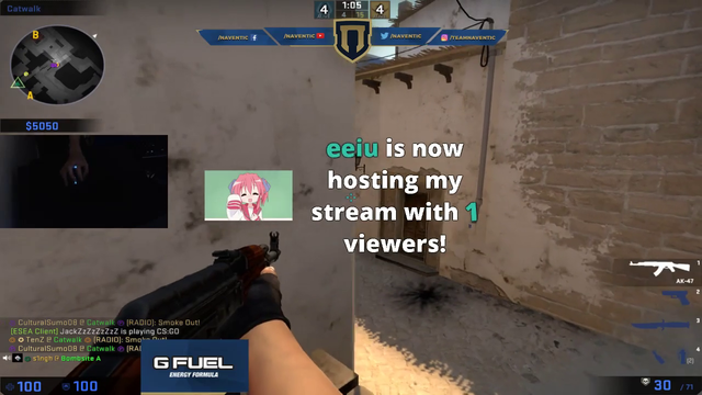 CSGO Streamer's mom yells at him
