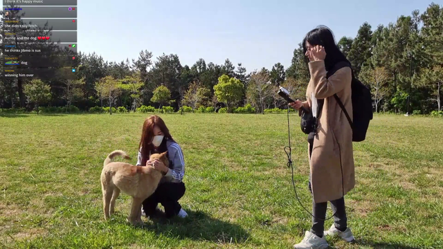 The Doggo is one of us Kreygasm
