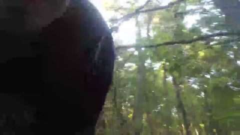 Streamer's dog attacks a baby deer in the woods
