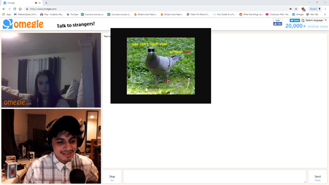 Streamer on OMEGLE doesn't know