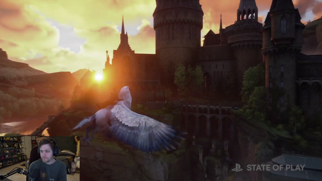 Soda confused by Hogwarts Legacy release date