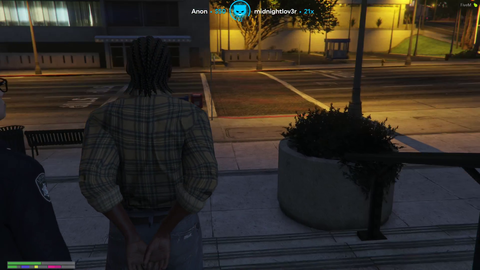 GTA Cop 10/10 RP