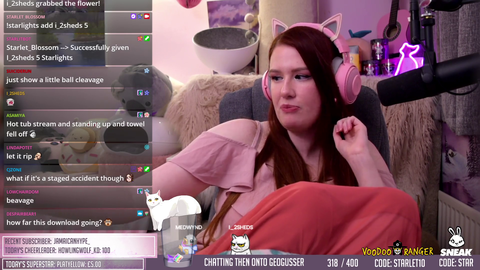 Streamer talks about if Twitch really wants hot tubs on their site.