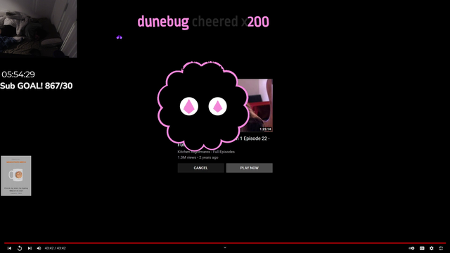 Helpful Chatter Wakes Streamer Whose Videos Stopped Playing