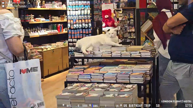 Bookstore employee sleeping at work