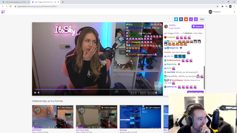 Czech streamers Skailereu and Halien harassing partnered streamer ItsSky and sending their viewers after streamsniping her in Fortnite charity tournament.