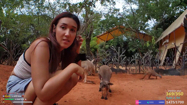 Justketh - Streamer getting Boxed by a Kangaroo