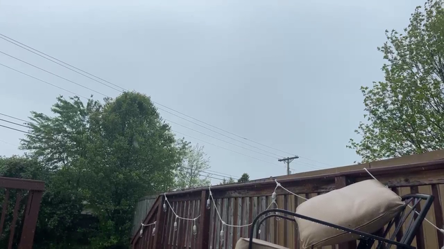 Pain In The Rain