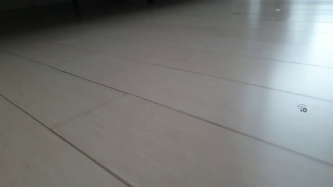 Cute Kitten clip passing through