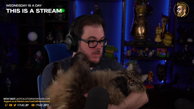 A Cat Stream