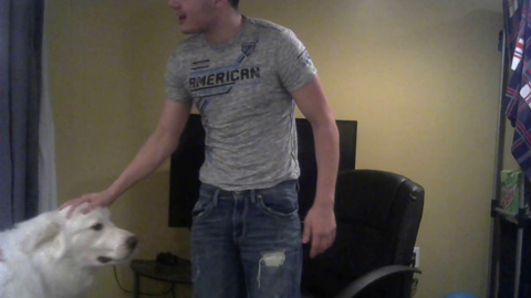 White Dog vs Black Man