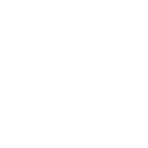 TottenhamHotspur
