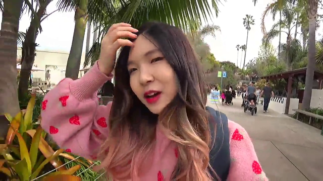 Why Maya is late to HAchubby stream