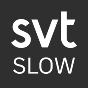 svt_slow