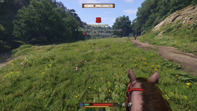 Lirik wins a horse race