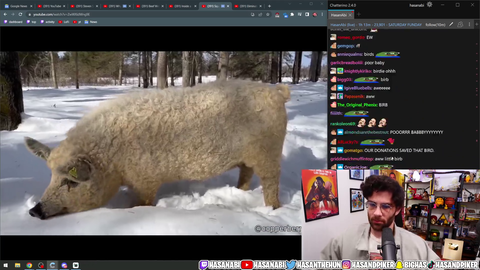 Hasan throws stone from glass house