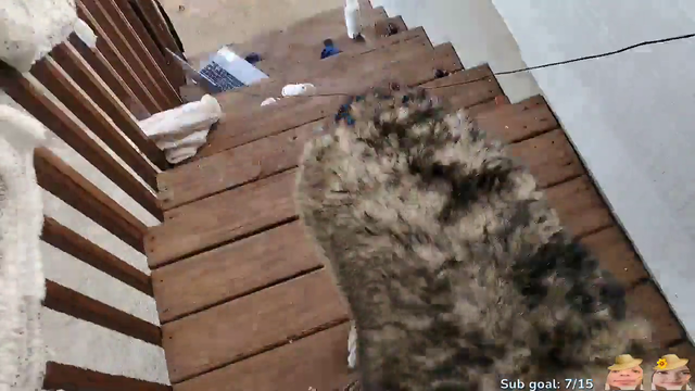 Clown Fiesta