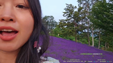 Beautiful Lavender fields in Japan
