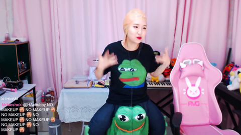 korean streamer broken by chat