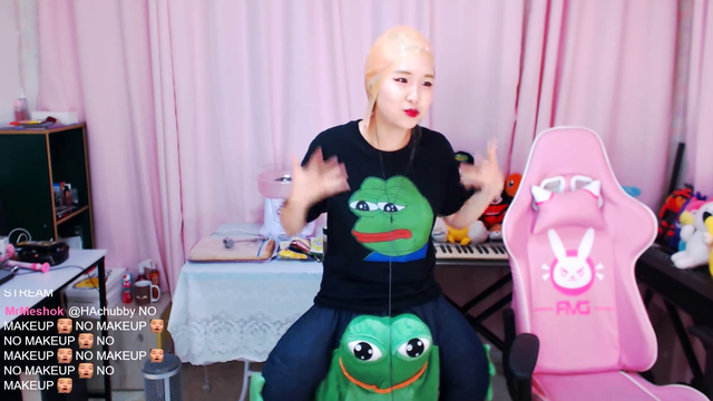 korean streamer broken by chat