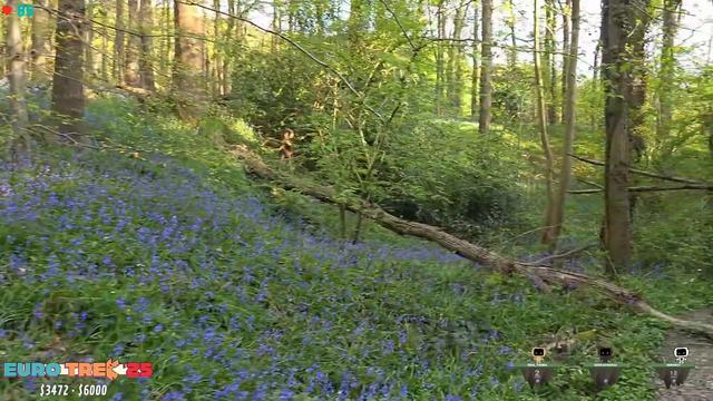 streamer walked into a branch