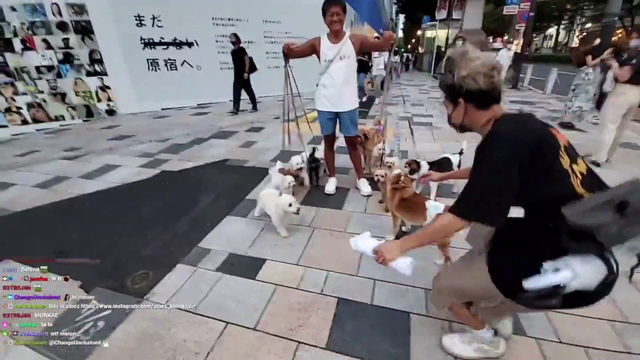 Just a man walking his dogs