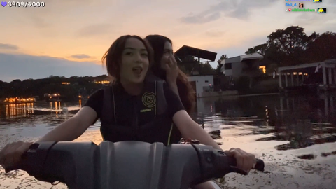 The Swan that attacked Julia the other day sneaks up on Katchii and Sakura