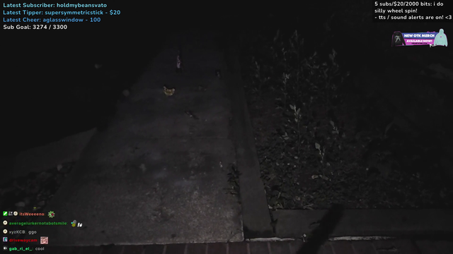 Emily forgets to throw lit firework