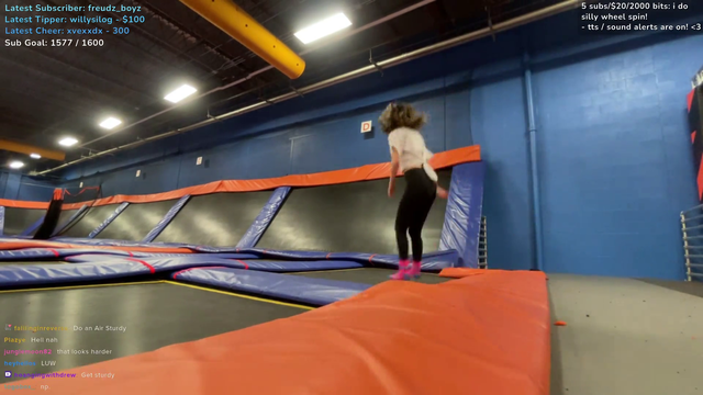 trampoline Luddy