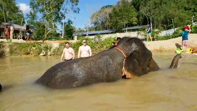 Jake taking care of greek